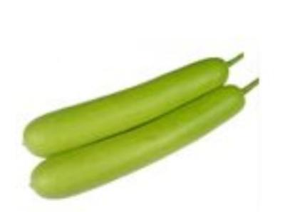 13. DUDHI (500 GM)